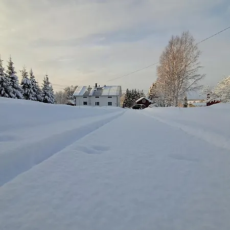In A Big Wooden Home, Kotimajoitukset Muonio