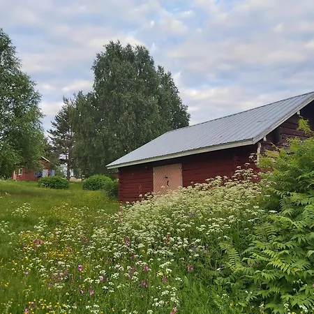 In A Big Wooden Home,