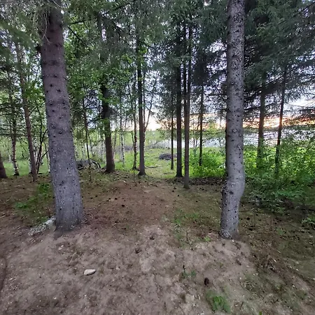 In A Big Wooden Home, Kotimajoitukset *