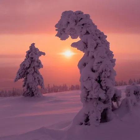 Quarto em Acomodações Particulares In A Big Wooden Home, *