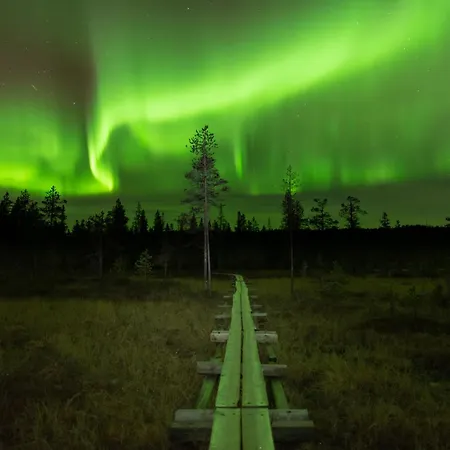 In A Big Wooden Home,