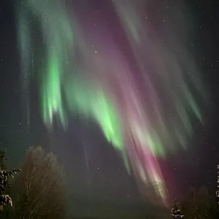 In A Big Wooden Home, Muonio