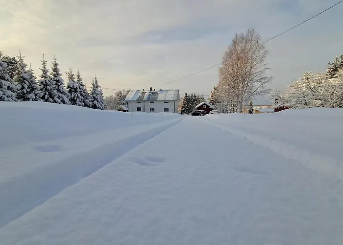 In A Big Wooden Home, 民宿 穆奥尼奥
