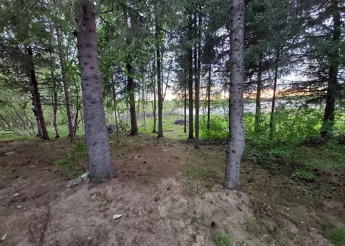 In A Big Wooden Home, 民宿 *