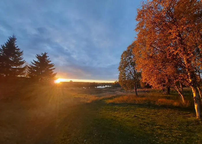 民宿 In A Big Wooden Home, 穆奥尼奥
