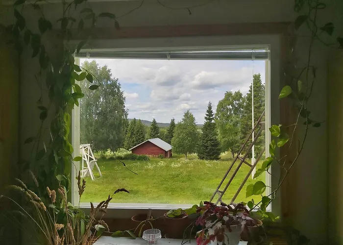 In A Big Wooden Home,