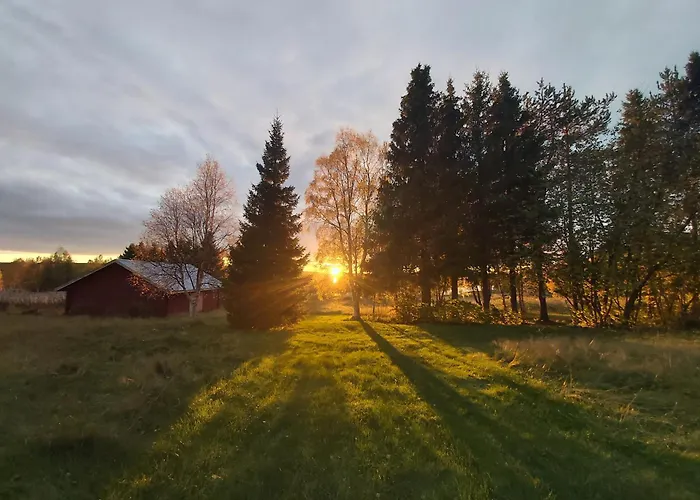 In A Big Wooden Home, 民宿