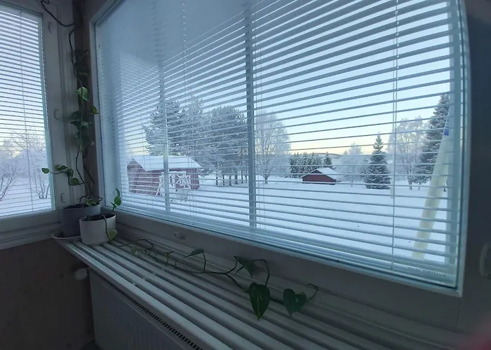 In A Big Wooden Home, 民宿 穆奥尼奥