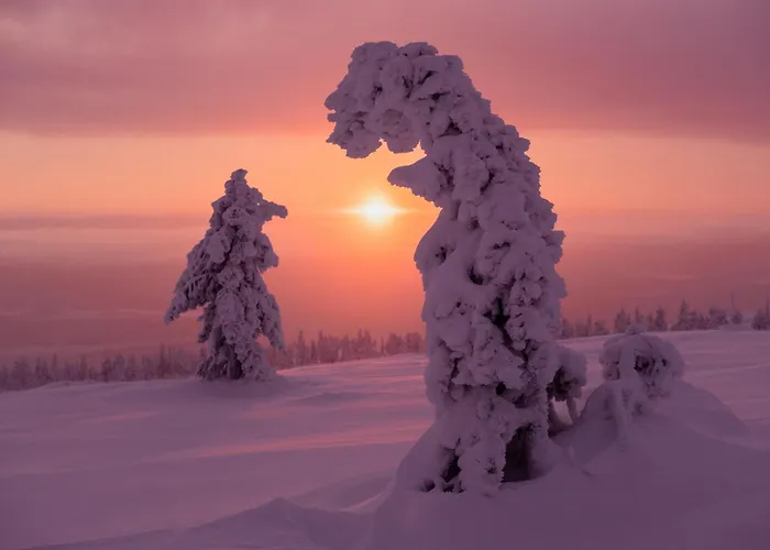 民宿 In A Big Wooden Home, *