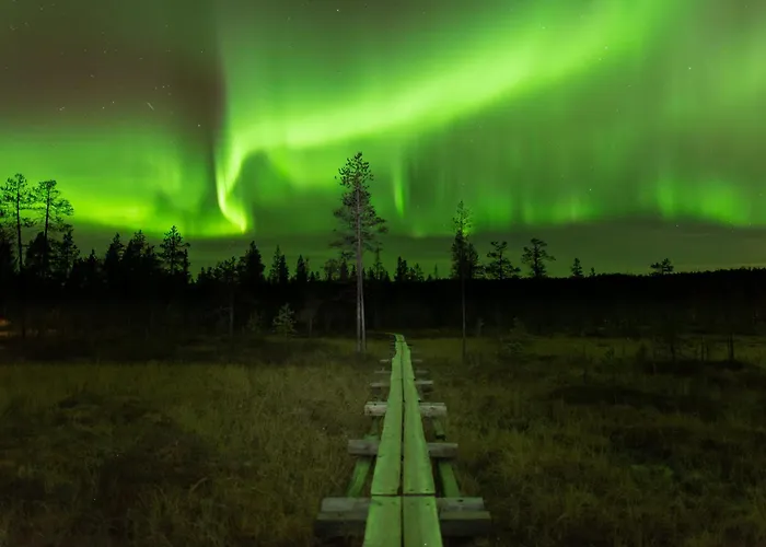 In A Big Wooden Home,