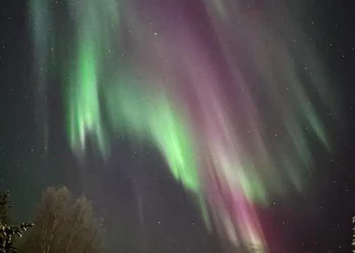 In A Big Wooden Home, 穆奥尼奥